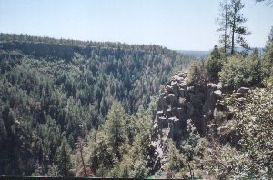 usaoakcreeksm.jpg - 22545 Bytes