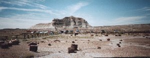 usapetforasm.jpg - 12109 Bytes