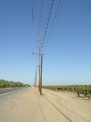 usapostsraisinssm.jpg - 17475 Bytes