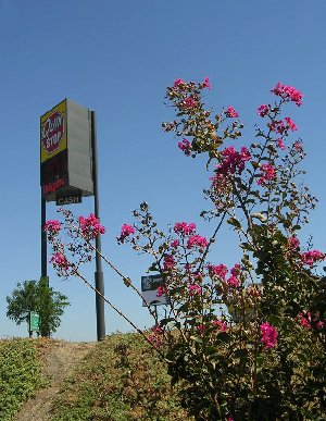 usaquikstopsm.jpg - 42642 Bytes