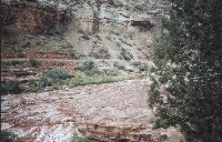 usasaltrivercanyon2sm.jpg - 11745 Bytes