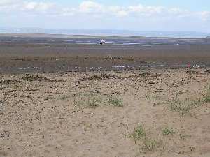 usasandbay1.jpg - 21359 Bytes