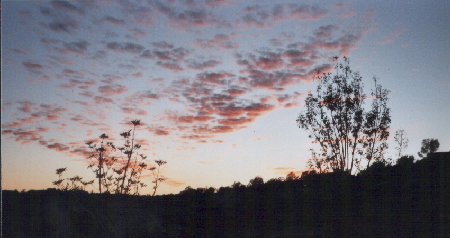 usasedonasunset.jpg - 24206 Bytes