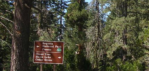 usasequoiasign.jpg - 54775 Bytes