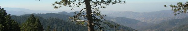 usatop17.jpg - 17996 Bytes