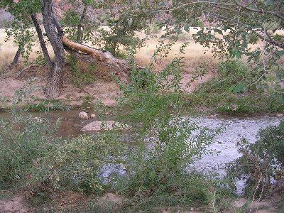 usavriver.jpg - 59894 Bytes