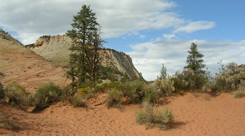 usazionsand.jpg - 40614 Bytes
