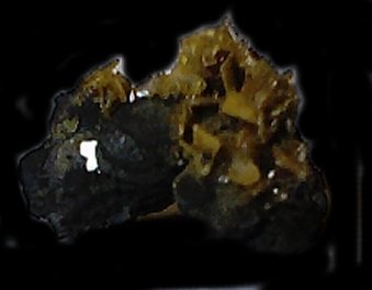 wulfglovemine.jpg - 11970 Bytes