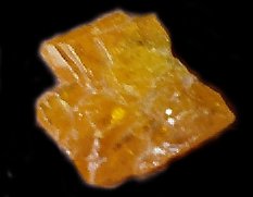 wulfrowley.jpg - 7721 Bytes